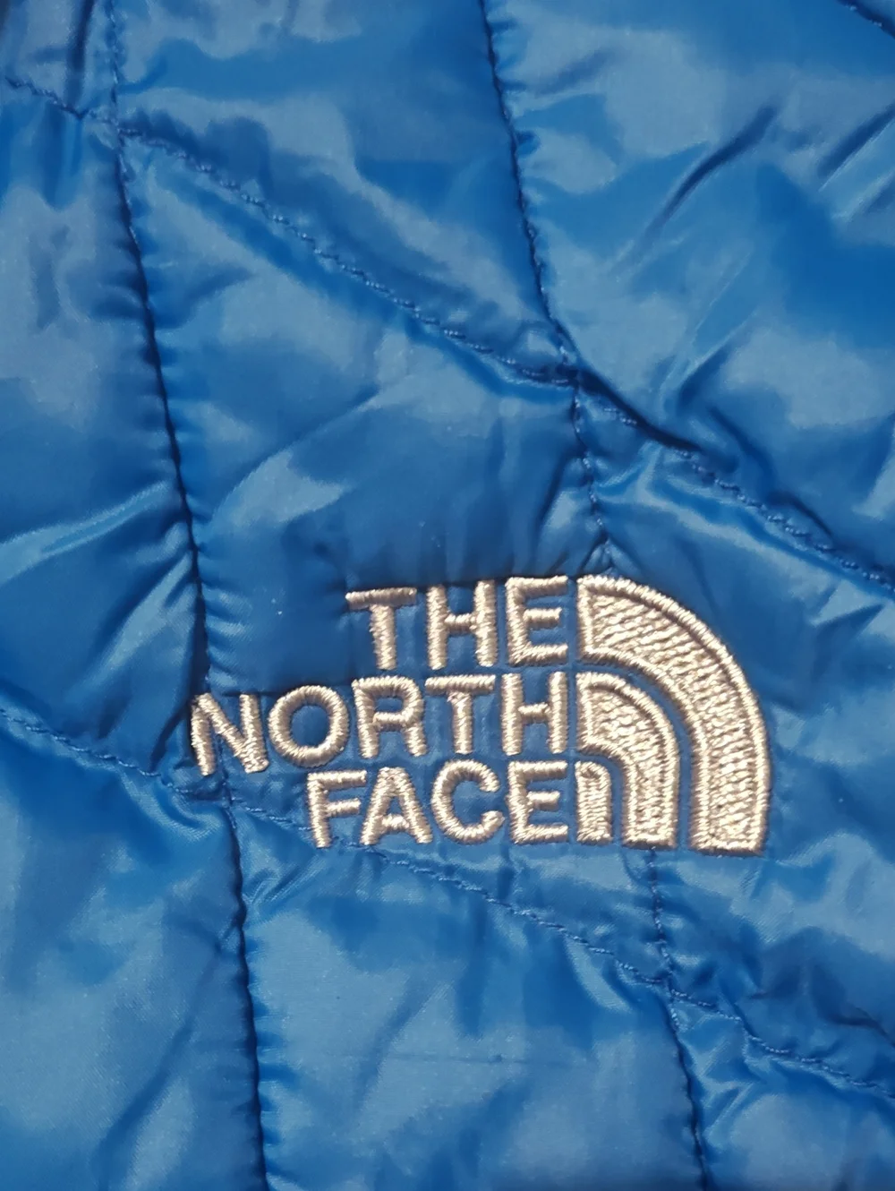 The North Face Men’s Blue Quilted Insulated Vest